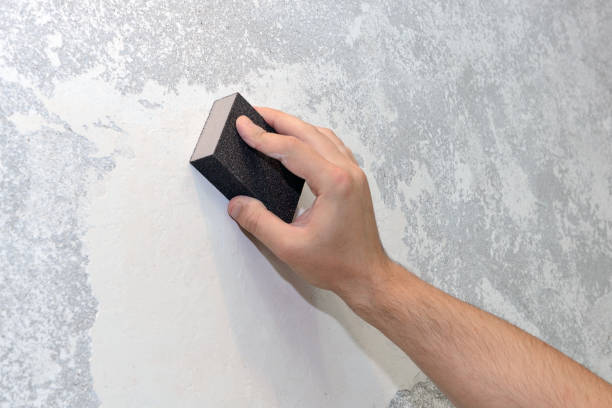 Best Asbestos and Lead Testing During Mold Inspection  in , FL