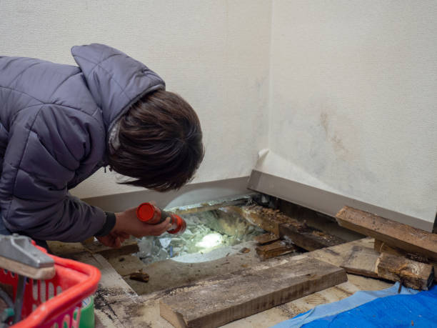 Best Industrial Mold Remediation  in , FL