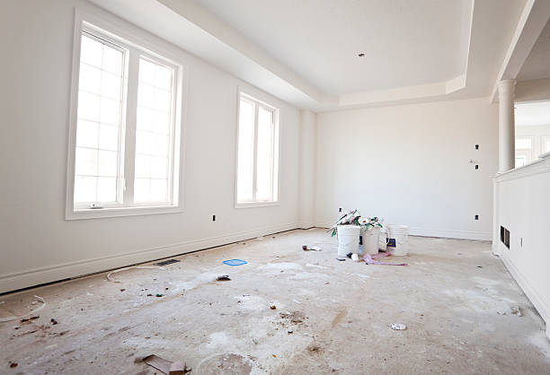 Best Black Mold Removal  in , FL