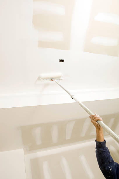 Best Mold Damage Restoration  in , FL