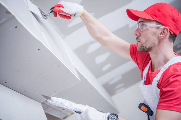 Best Mold Prevention Services  in , FL